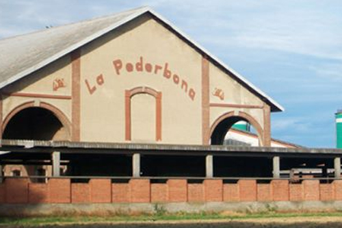 Azienda Agricola La Pederbona