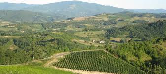 Holiday farms of Tortona hills